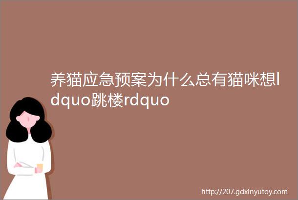 养猫应急预案为什么总有猫咪想ldquo跳楼rdquo