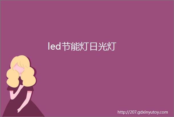 led节能灯日光灯