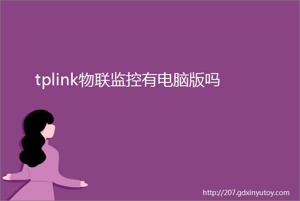 tplink物联监控有电脑版吗