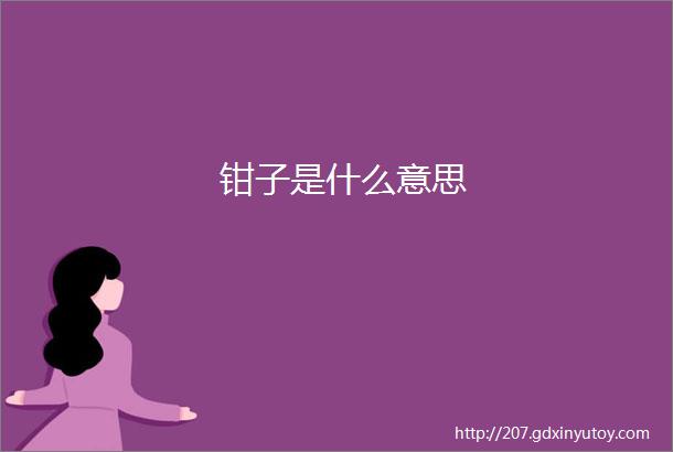 钳子是什么意思