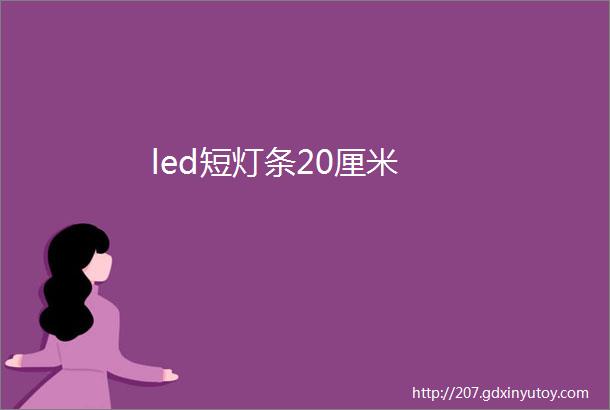 led短灯条20厘米