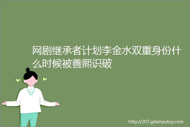 网剧继承者计划李金水双重身份什么时候被善熙识破