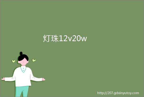 灯珠12v20w