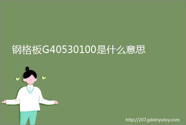 钢格板G40530100是什么意思