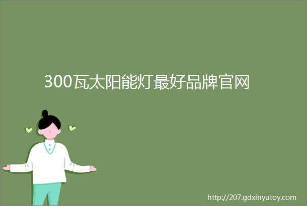 300瓦太阳能灯最好品牌官网