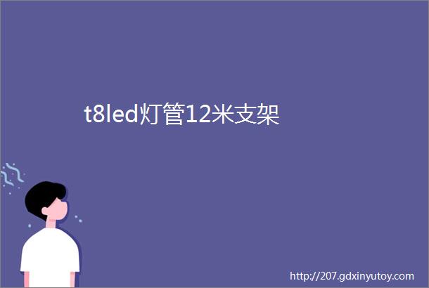 t8led灯管12米支架