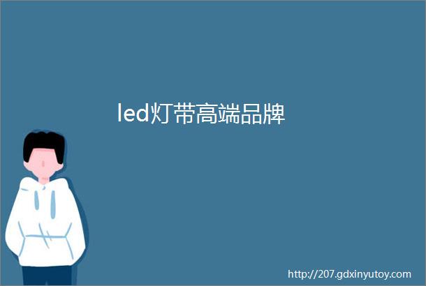 led灯带高端品牌