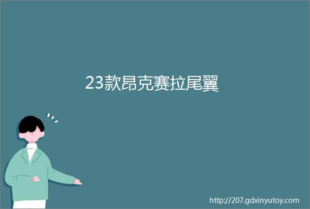 23款昂克赛拉尾翼